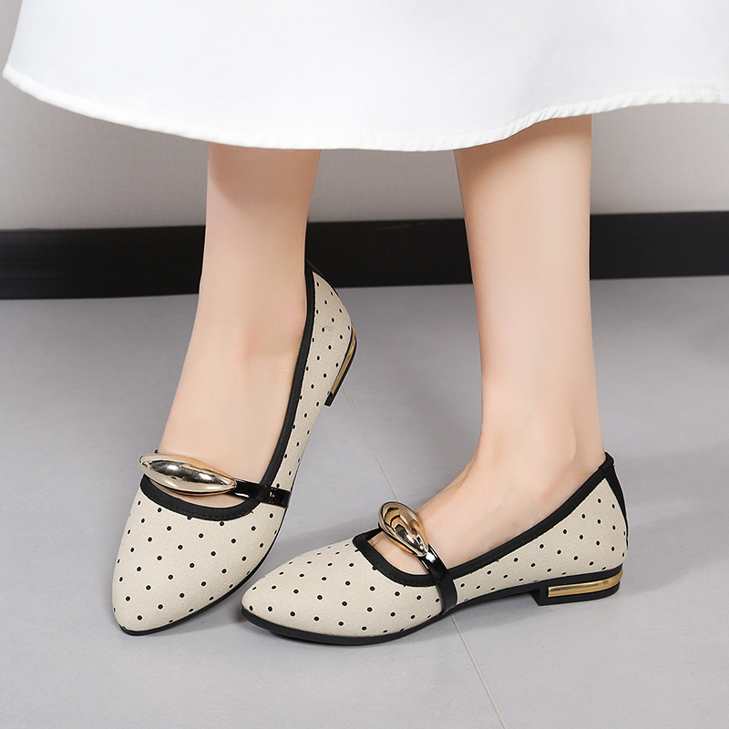 Women Shoes Casual - Spring and Autumn Elegant Pointed Sexy